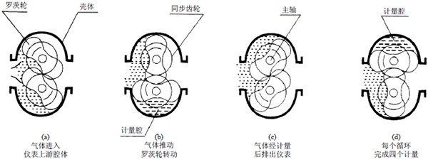 1-160P2112Sa24.jpg
