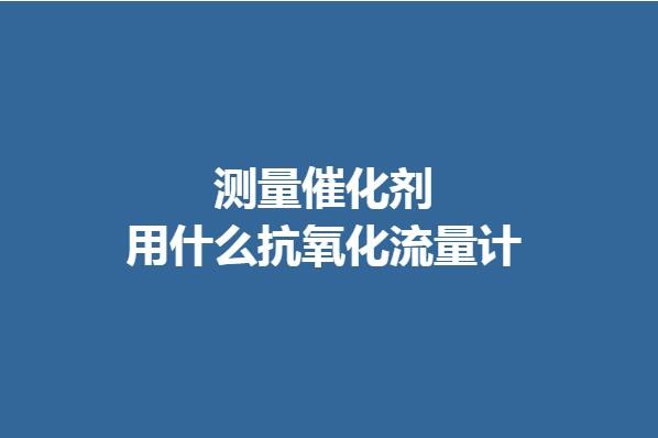測量催化劑用什么抗氧化流量計(jì)